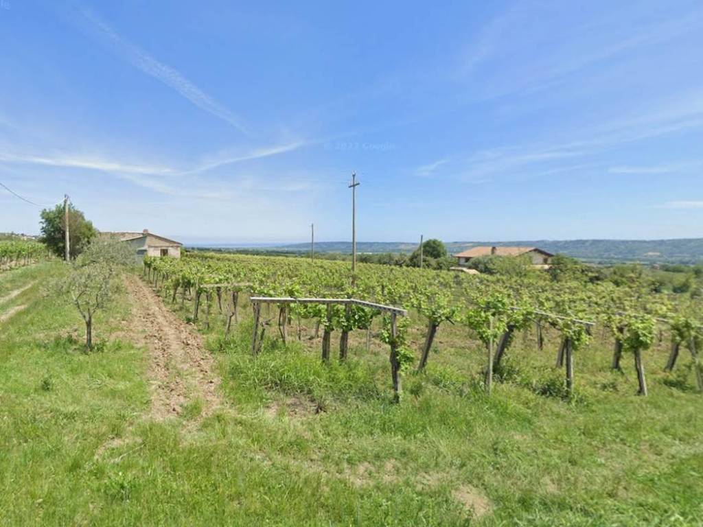 Terreno a Mozzagrogna - Foto 4