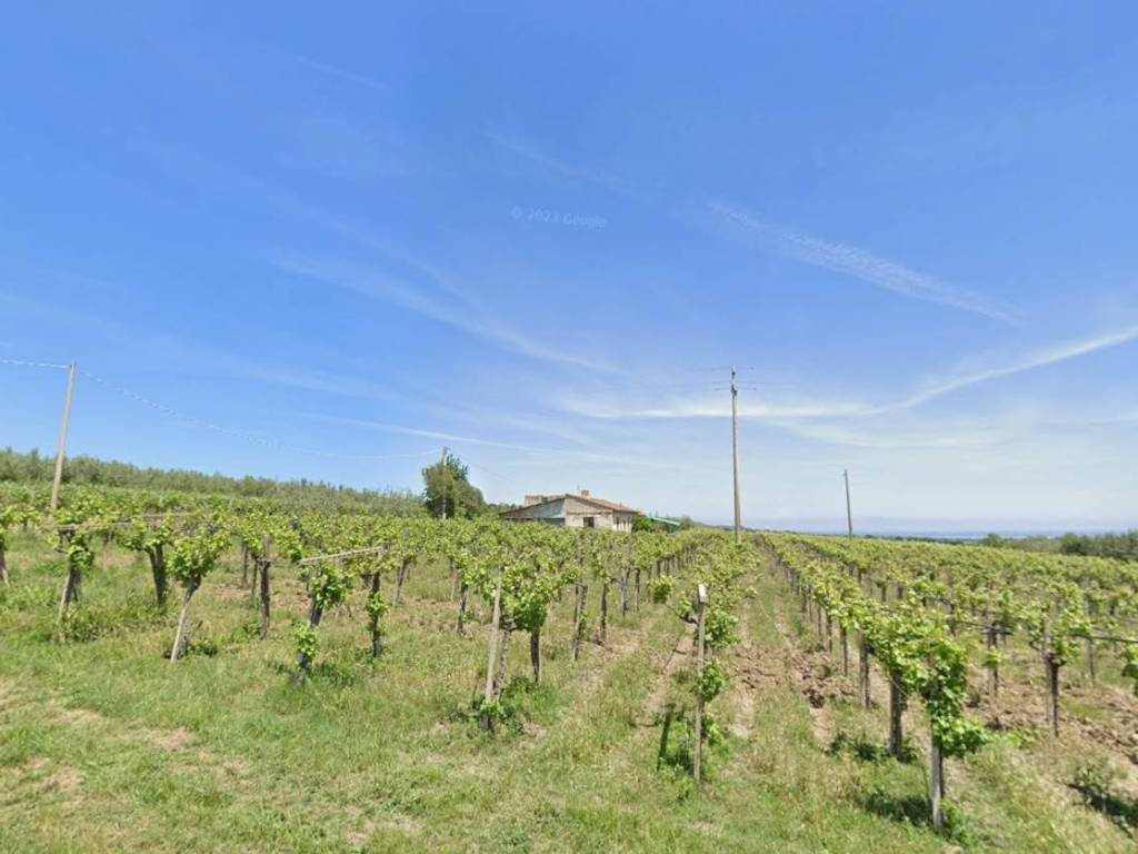 Terreno a Mozzagrogna - Foto 5