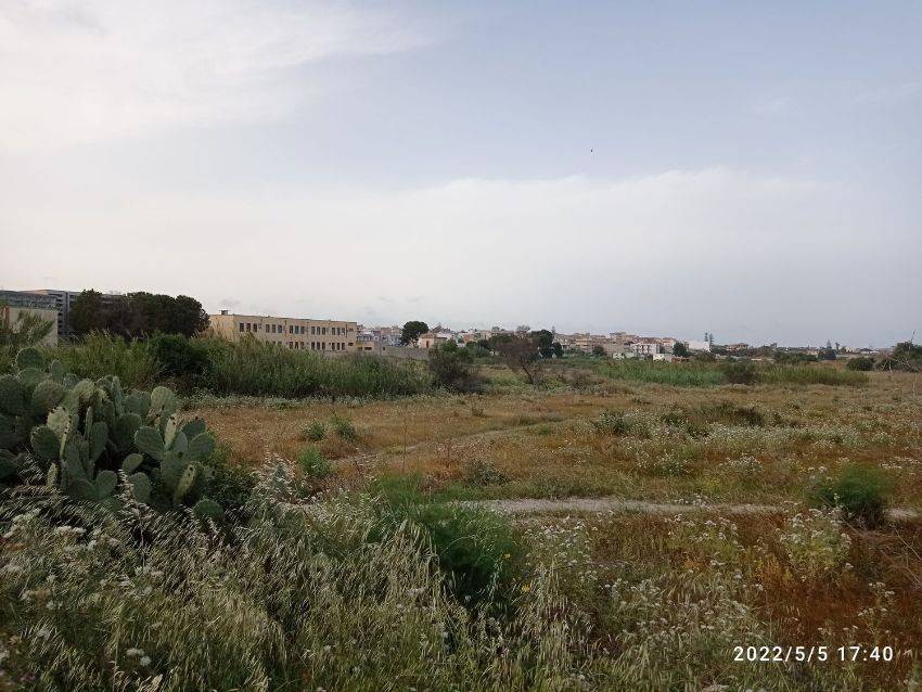 Terreno a Pachino - Foto 2