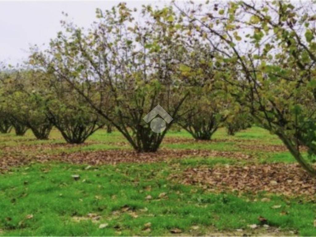 Terreno a Mercogliano in Località Petruro - Foto 3