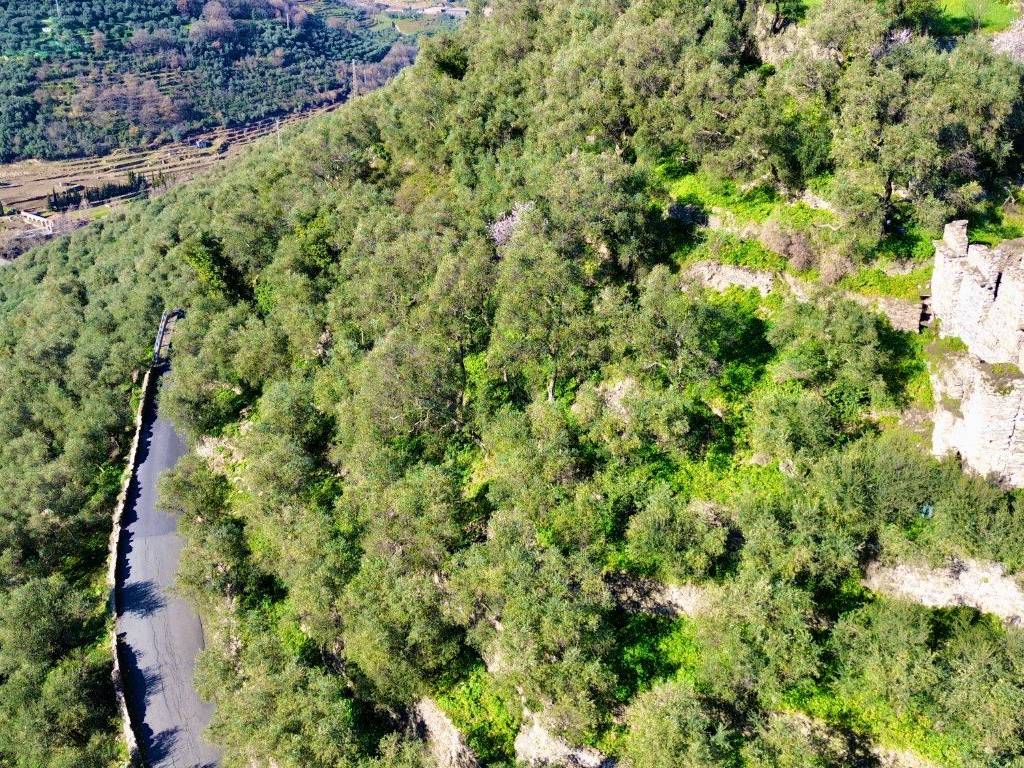 Rustico / casale a Chiusanico in Via Monte Pasubio, 15 - Foto 2