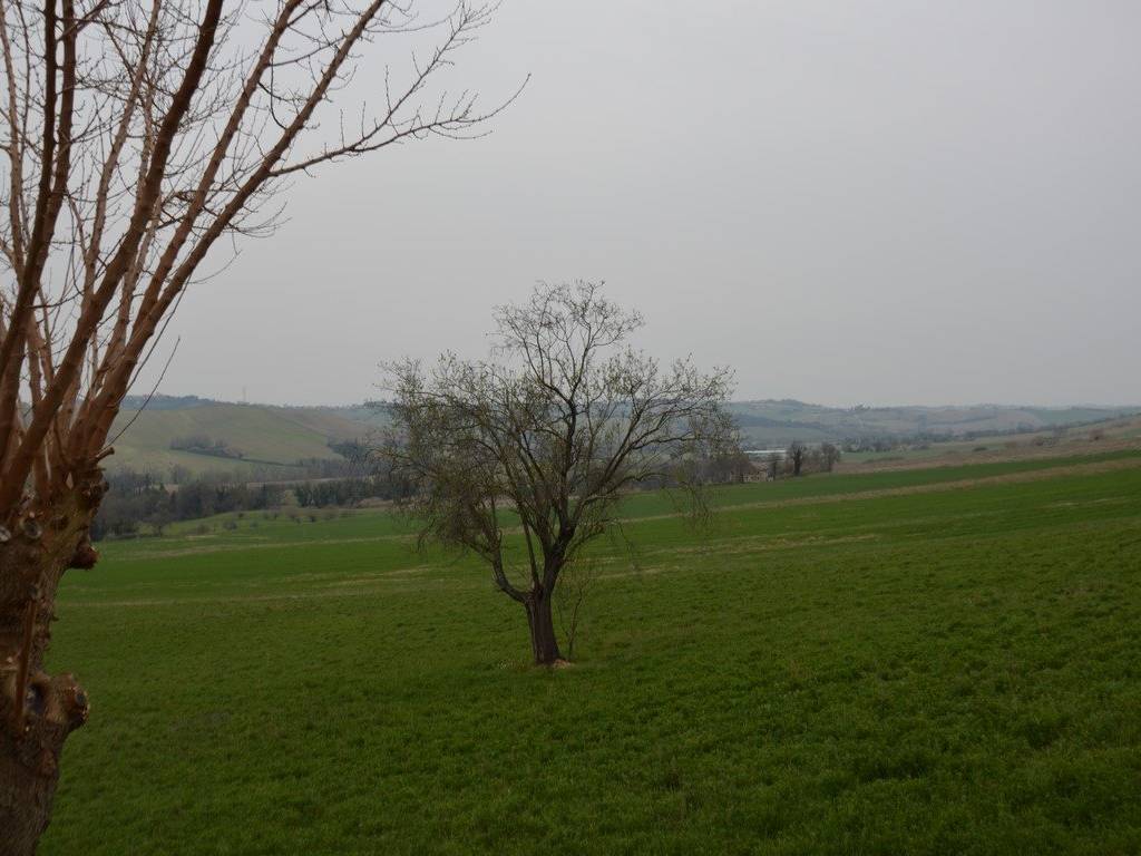 Terreno a Osimo - Foto 3