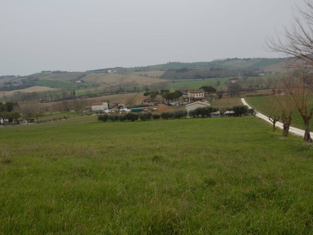 Terreno a Osimo - Foto 5