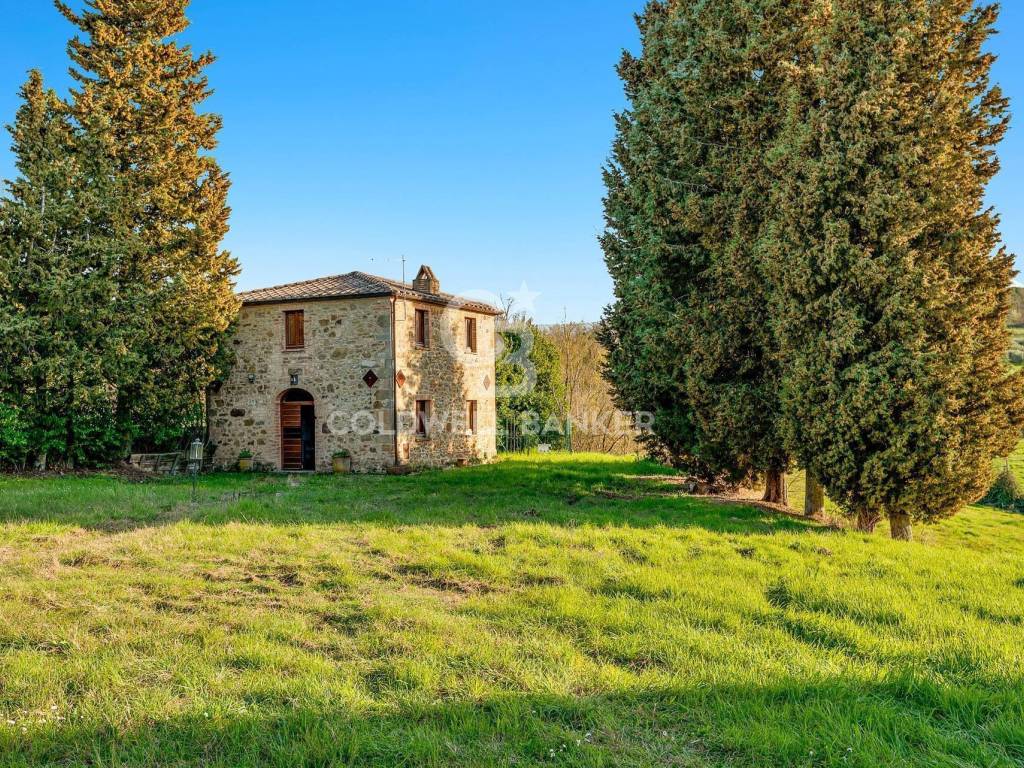 Villa a Trequanda in Strada Provinciale 14, 5 - Foto 3