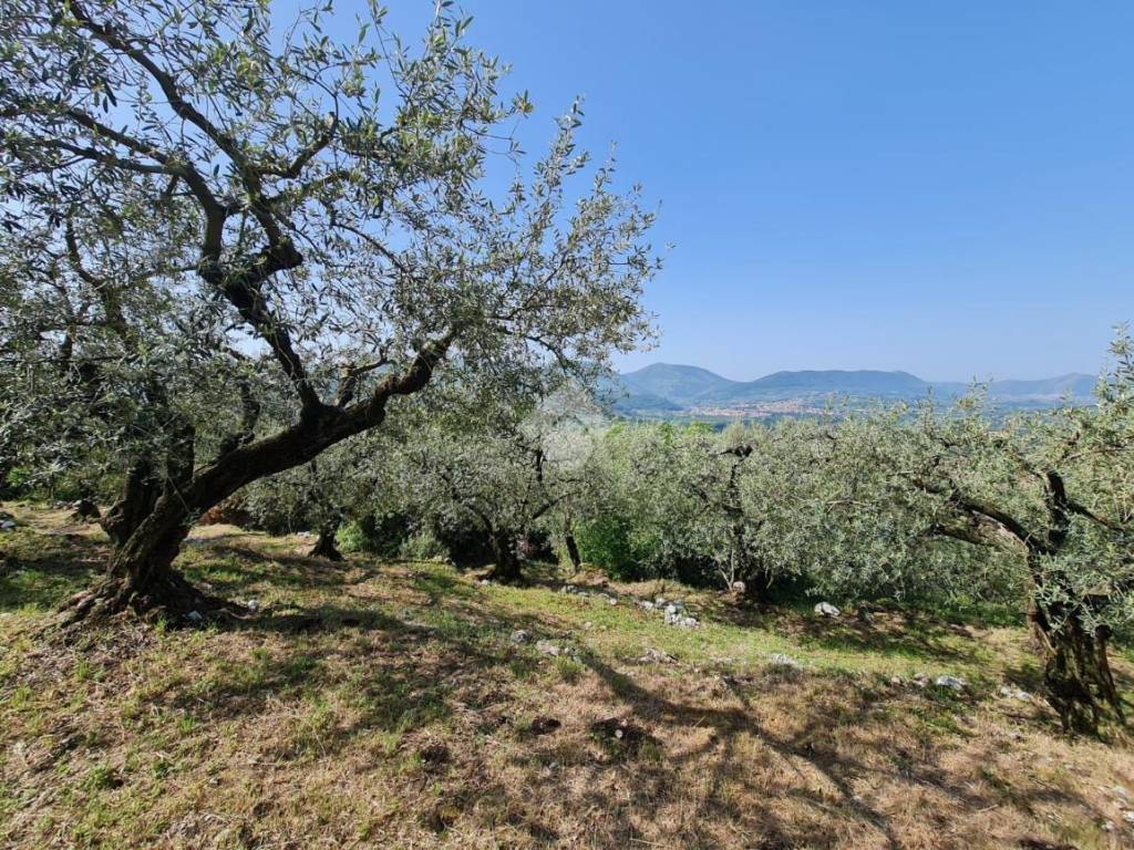 Terreno a Sant'agata de' goti in C/da Paolini - Foto 2
