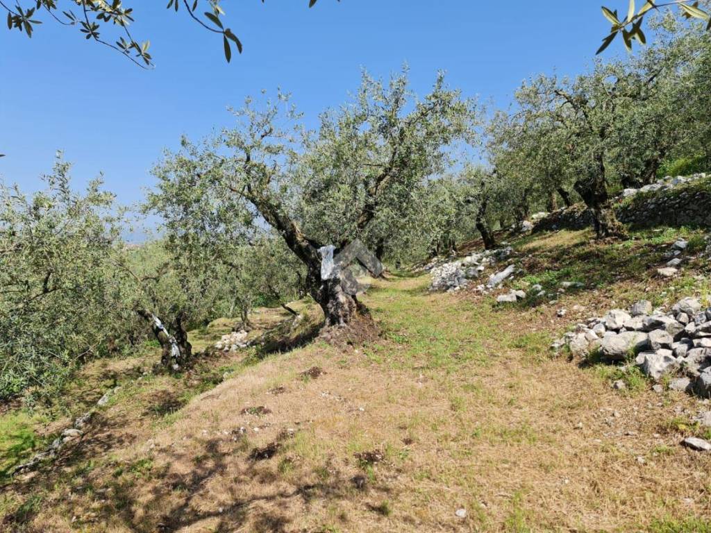 Terreno a Sant'agata de' goti in C/da Paolini - Foto 3