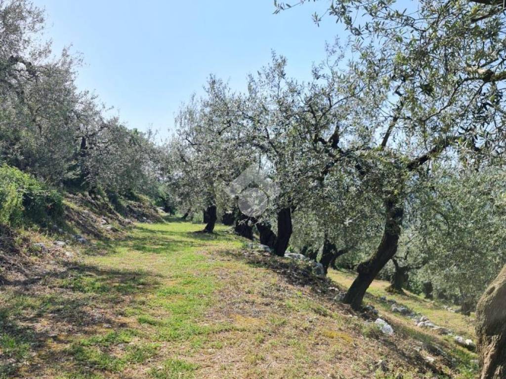 Terreno a Sant'agata de' goti in C/da Paolini - Foto 4