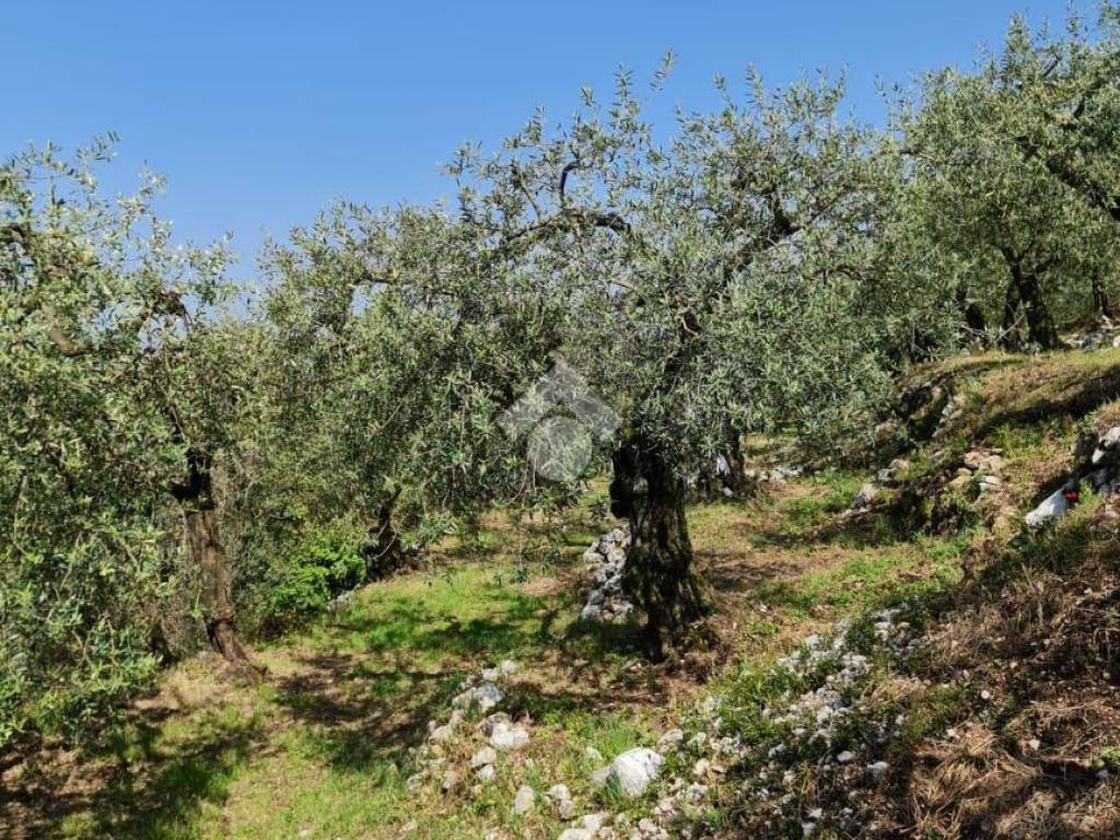 Terreno a Sant'agata de' goti in C/da Paolini - Foto 5