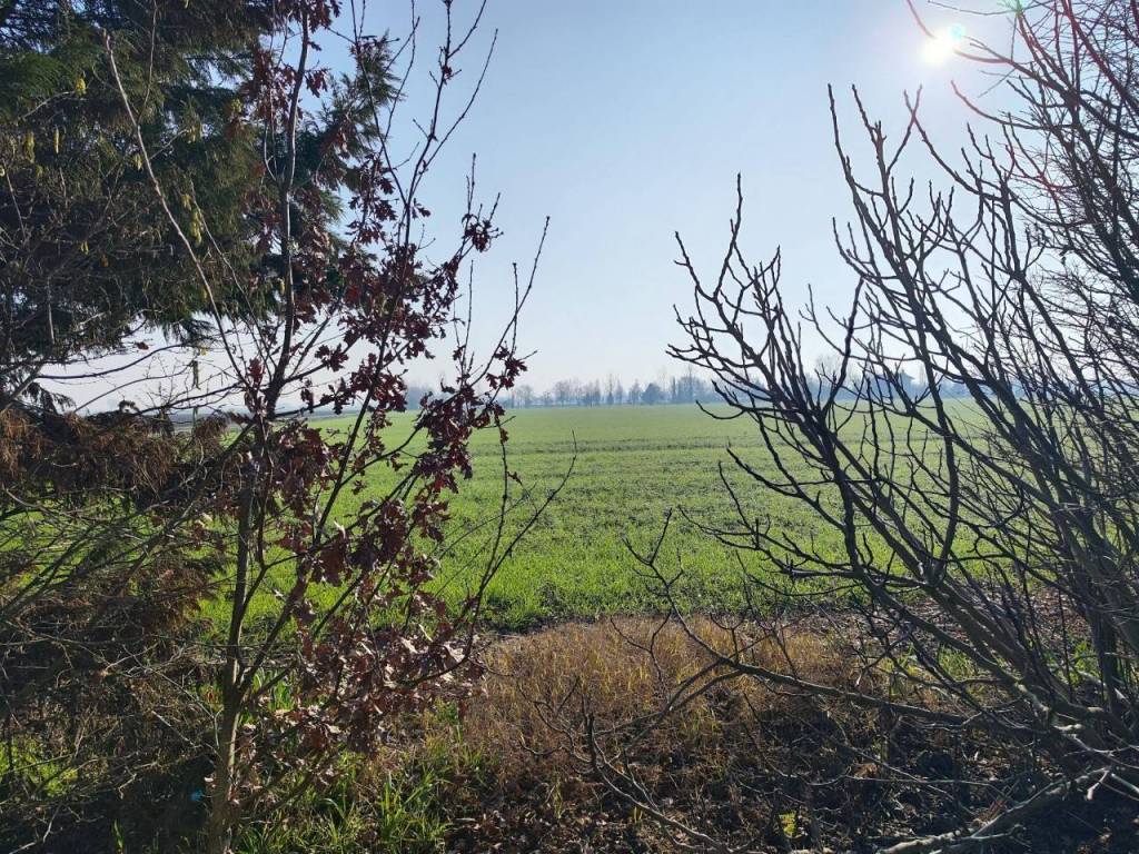 Rustico / casale a Cento in Via Piantoni, 10 - Foto 4