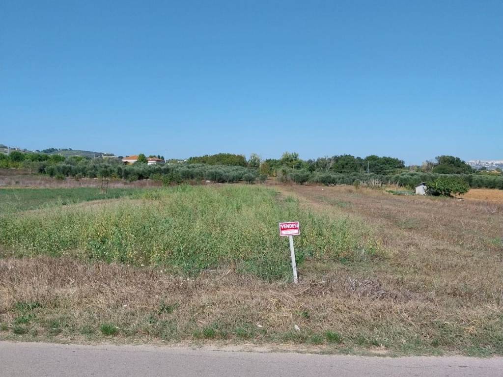 Terreno a Collecorvino in santa Lucia - Foto 2