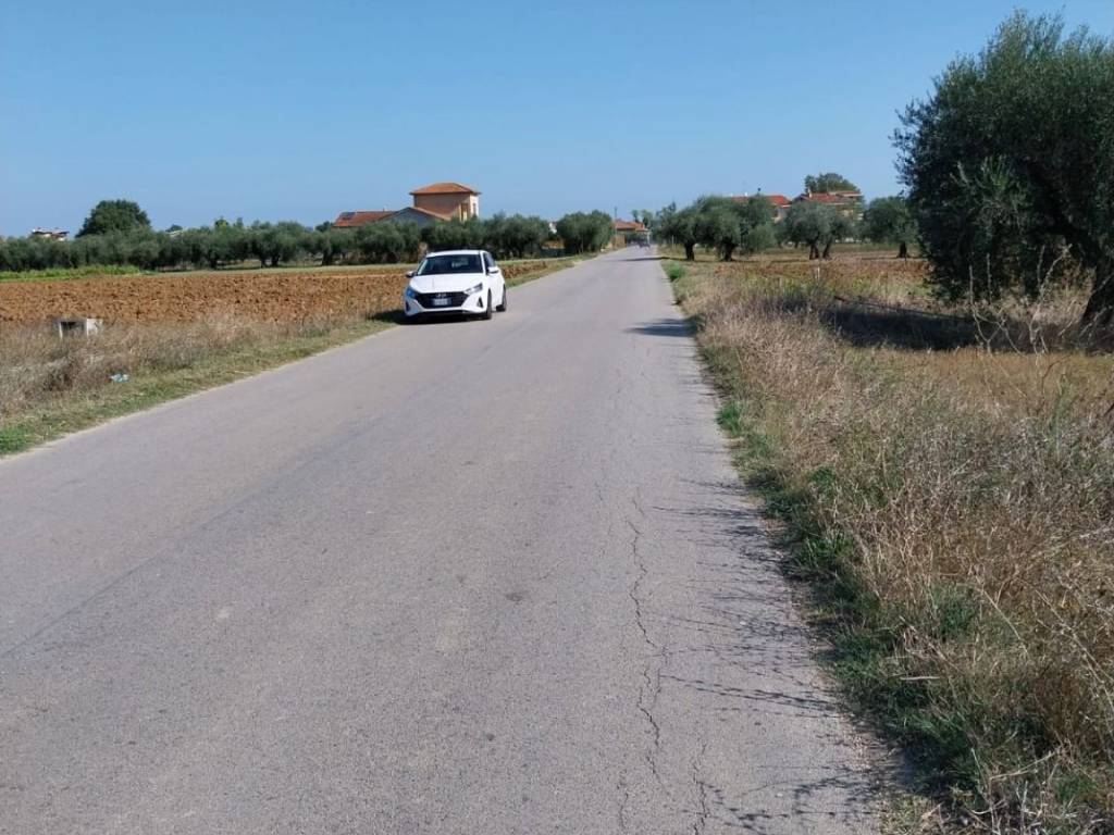 Terreno a Collecorvino in santa Lucia - Foto 3
