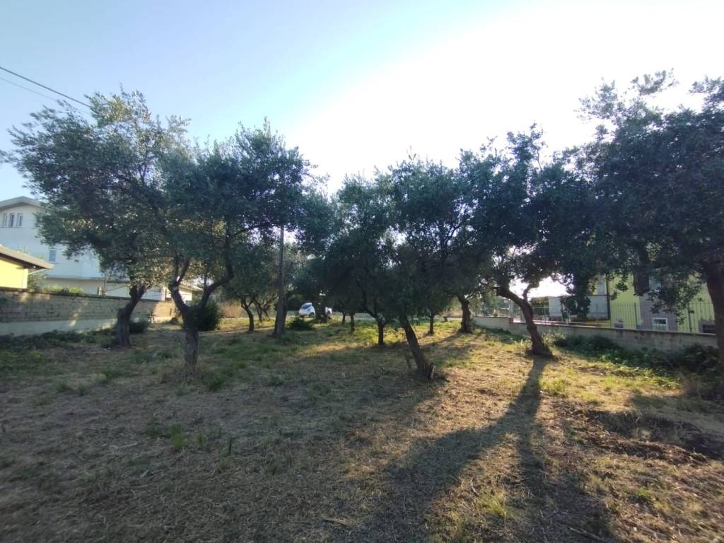 Terreno a Vasto in Strada Statale Adriatica - Foto 3