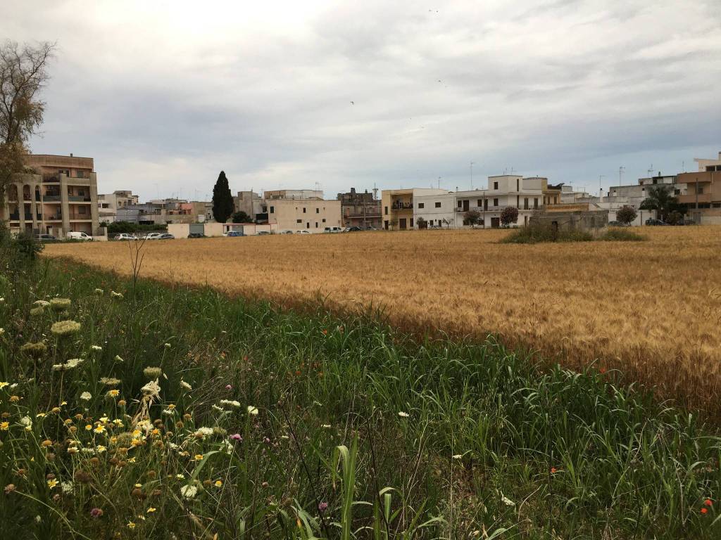 Terreno a Mesagne in Via Damiano Chiesa - Foto 2