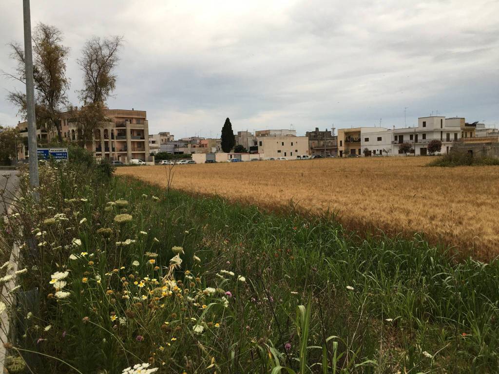Terreno a Mesagne in Via Damiano Chiesa - Foto 3