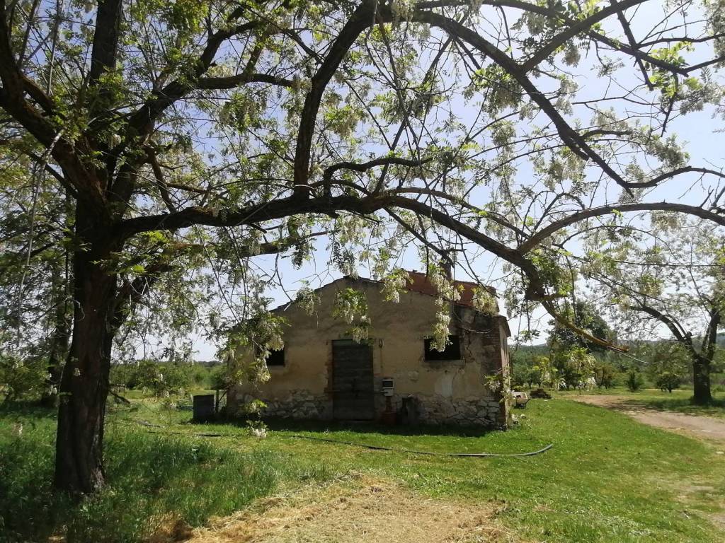 Rustico / casale a Manciano in SR74 - Foto 2
