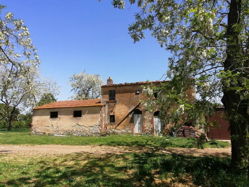 Rustico / casale a Manciano in SR74 - Foto 3