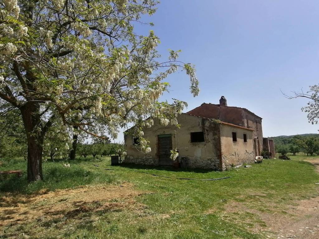 Rustico / casale a Manciano in SR74 - Foto 5