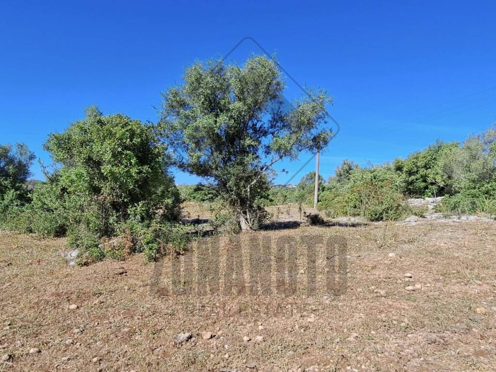 Terreno a Noto in Strada Statale di Noto - Foto 3