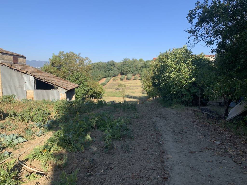 Terreno a Sant'angelo a cupolo in Via Cristoforo Colombo - Foto 3