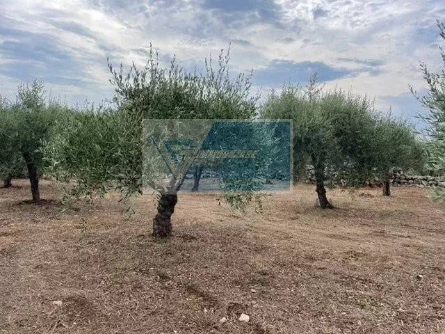 Terreno a Solarino in Contrada Trigona - Foto 3