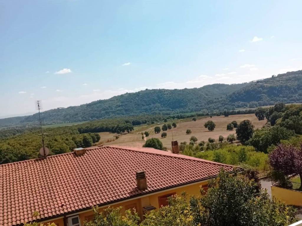 Appartamento a Forano in Via Poggio Mirteto - Foto 5