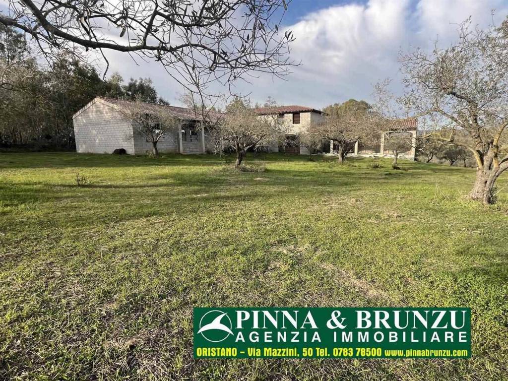 Villa a Solarussa in SP 15 - Foto 5