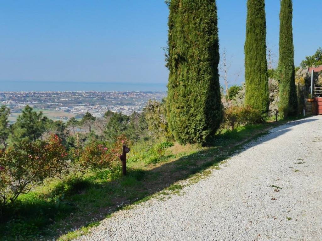 Rustico / casale a Massarosa - Foto 2