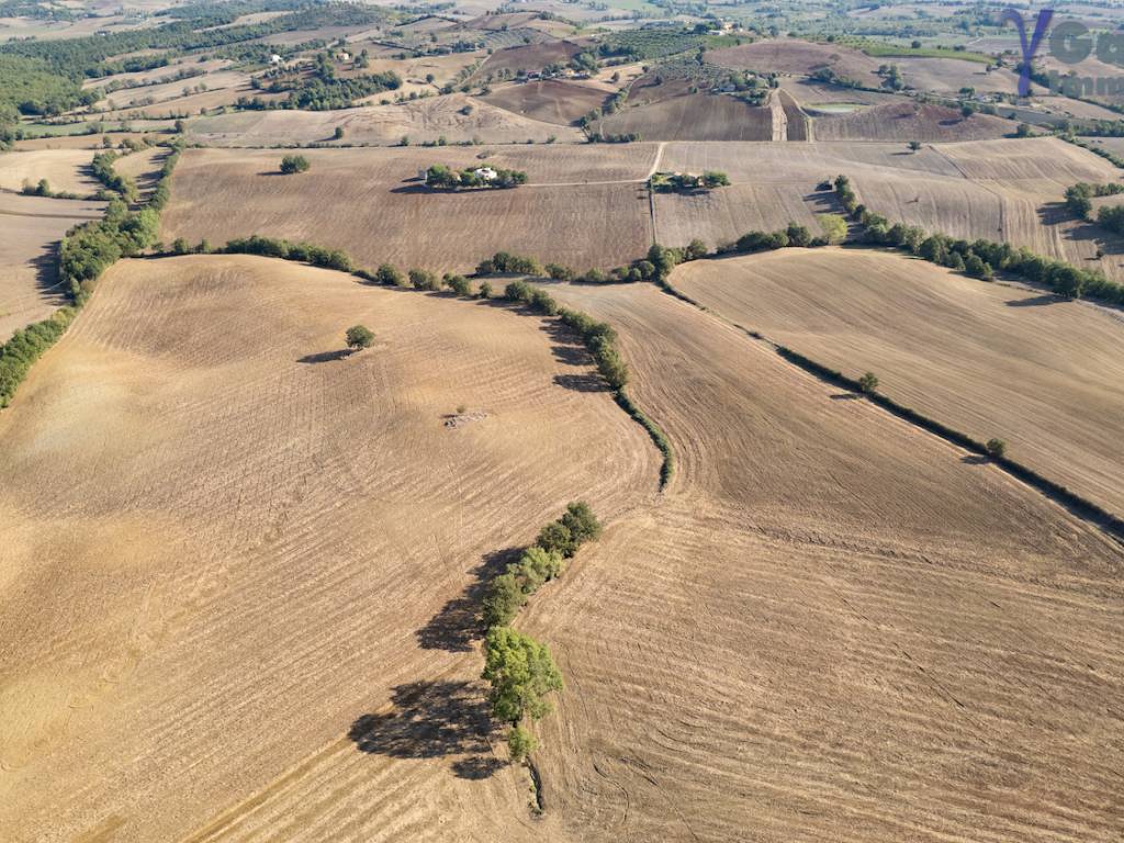 Rustico / casale a Capalbio in Strada Vallerana Alta - Foto 2