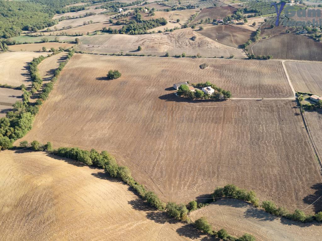 Rustico / casale a Capalbio in Strada Vallerana Alta - Foto 4