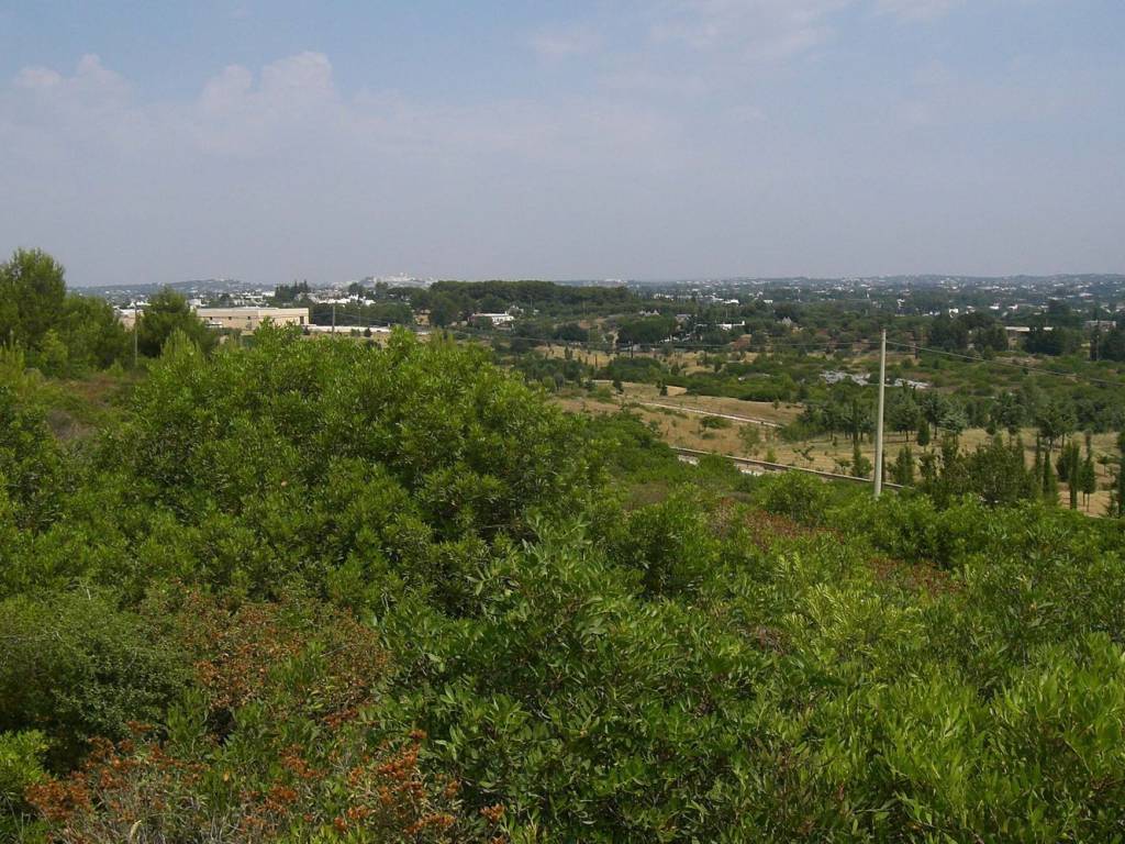 Terreno a Martina franca in Via Ceglie, km 1 - Foto 4