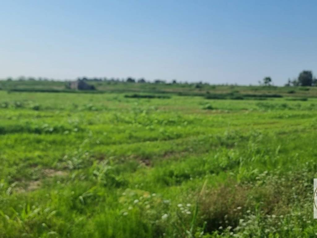 Terreno a Loreo in Vicolo Valleselle, 12 - Foto 3