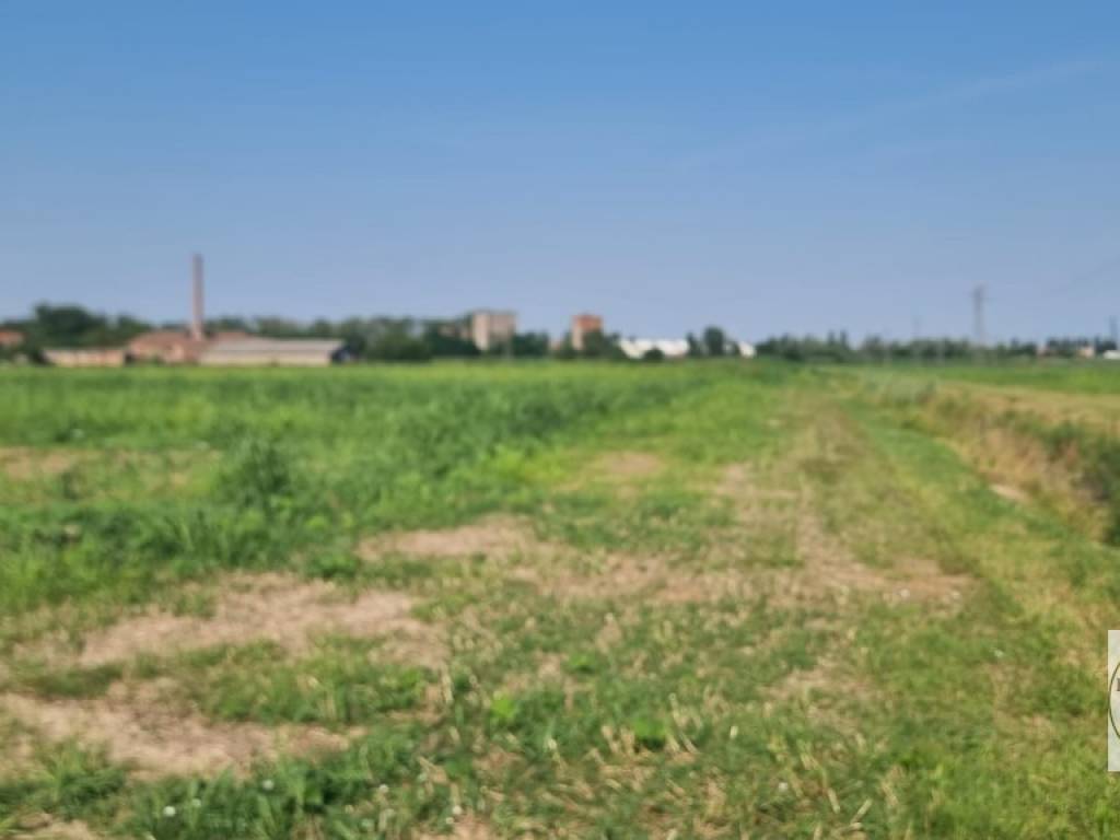 Terreno a Loreo in Vicolo Valleselle, 12 - Foto 4