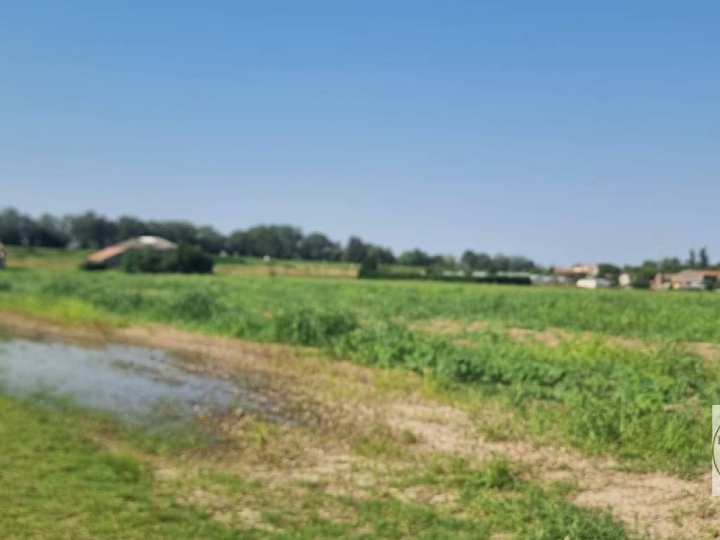 Terreno a Loreo in Vicolo Valleselle, 12 - Foto 5