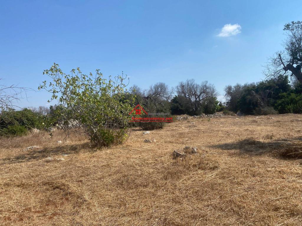 Terreno a Ugento in località campolisio - Foto 2