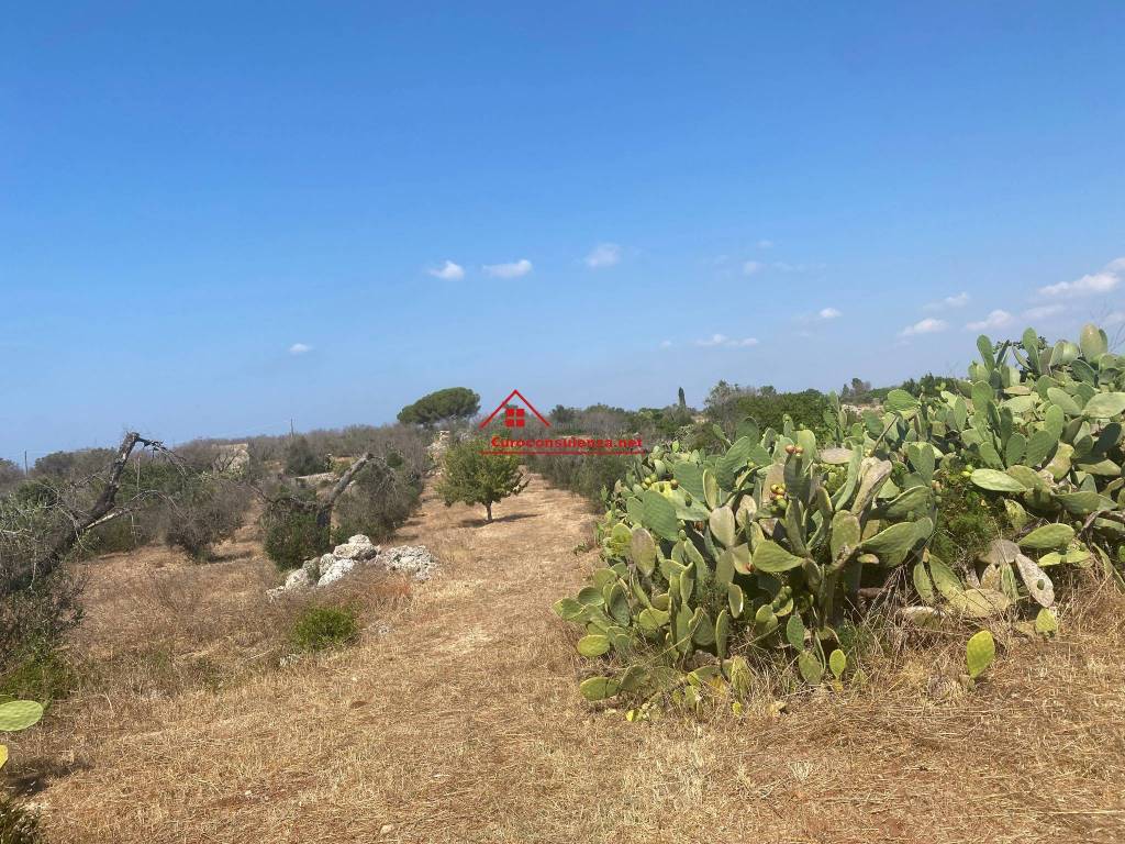 Terreno a Ugento in località campolisio - Foto 3