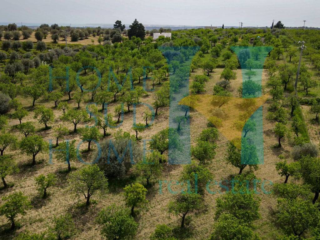 Terreno a Noto in Via Tommaso Fazello, 228 - Foto 5