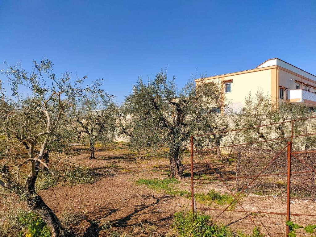 Terreno a Barletta - Foto 2