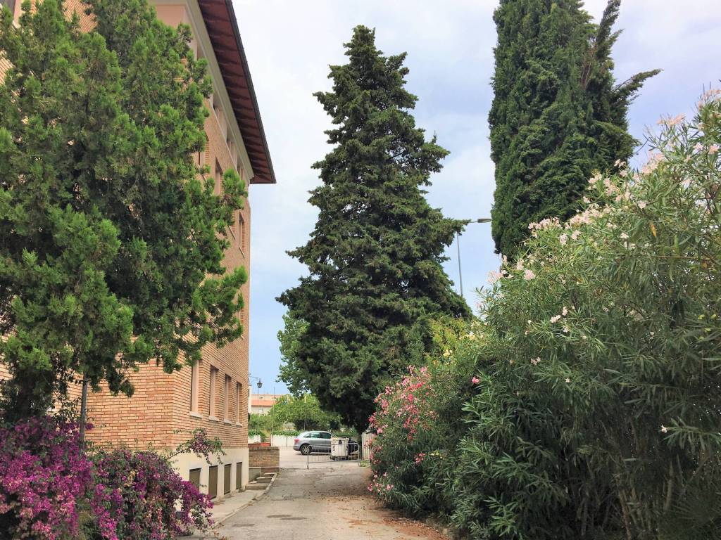 Palazzo / stabile a Loreto - Foto 3