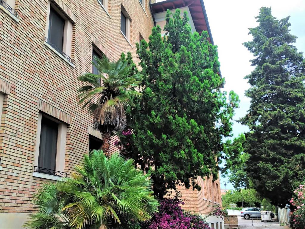 Palazzo / stabile a Loreto - Foto 4