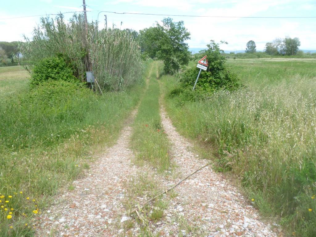 Terreno a Castiglione del lago in SS71 - Foto 4