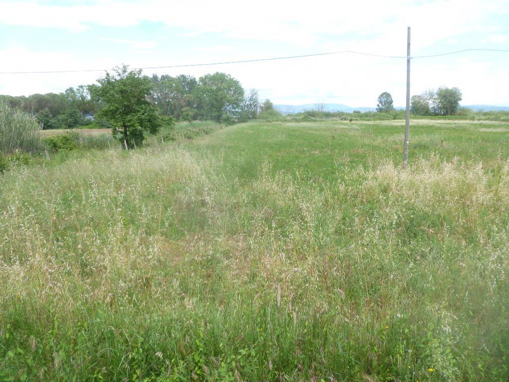 Terreno a Castiglione del lago in SS71 - Foto 5