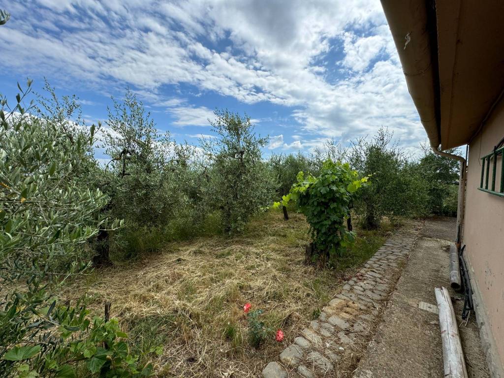 Terreno a Capolona in Strada Comunale di Cafaggio, 18 - Foto 3