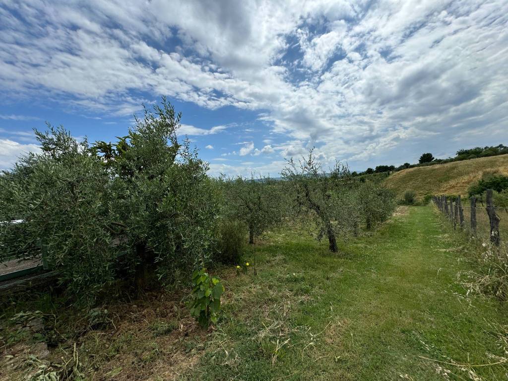 Terreno a Capolona in Strada Comunale di Cafaggio, 18 - Foto 4
