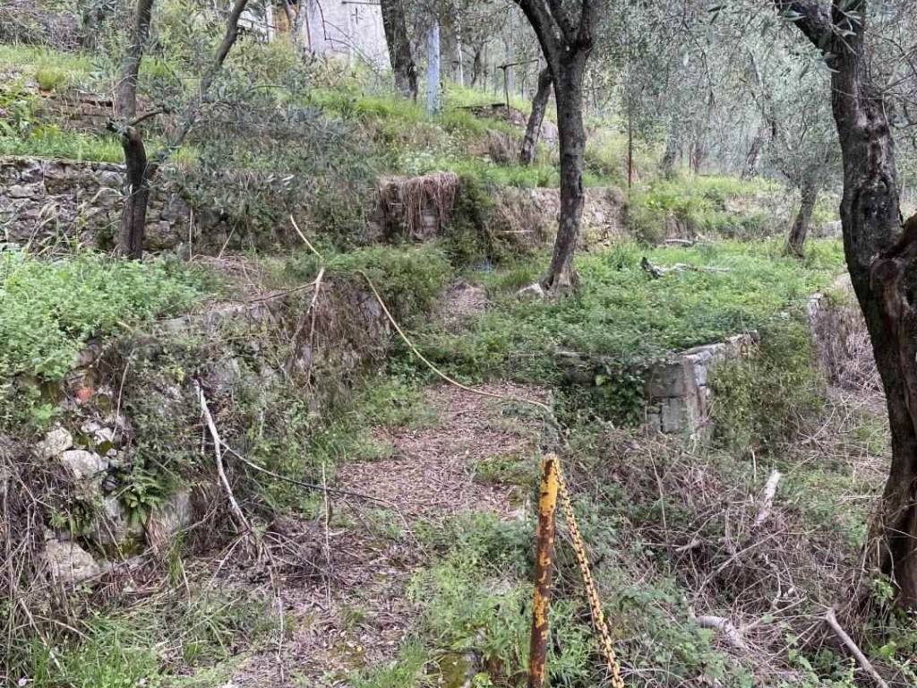 Terreno a La spezia - Foto 3