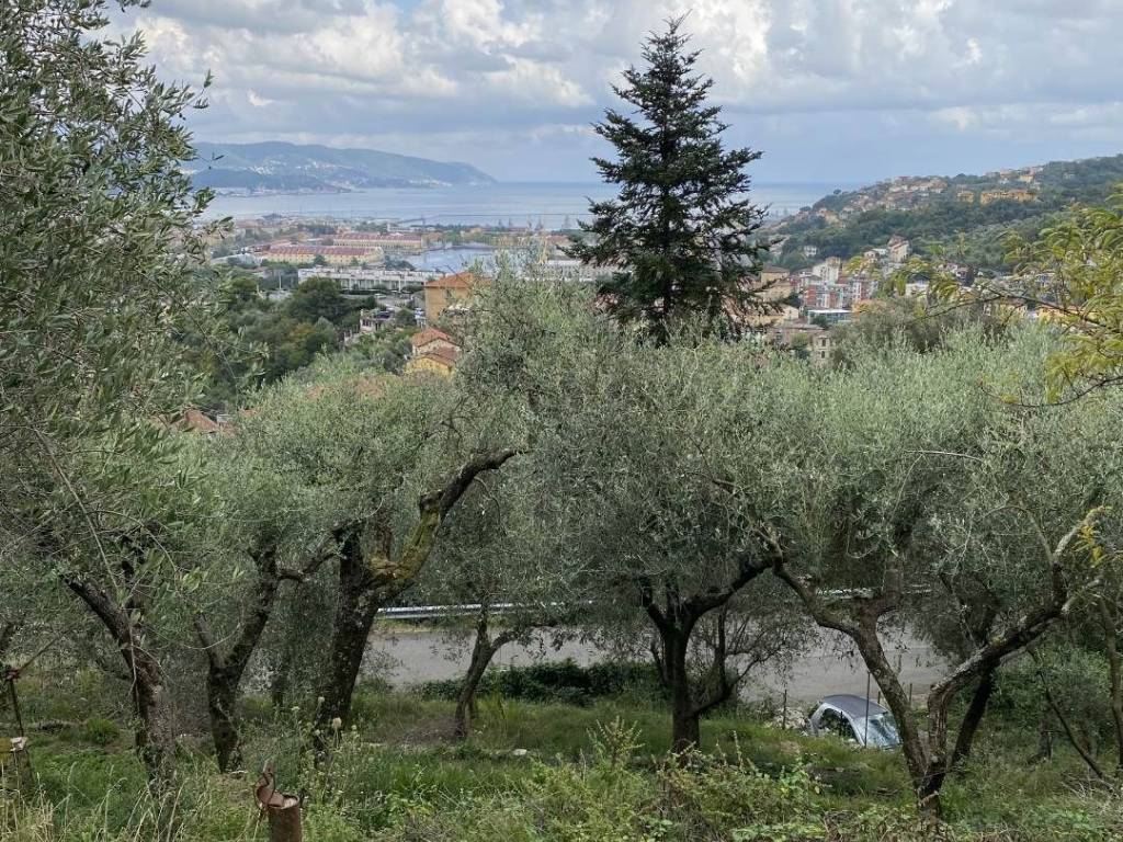 Terreno a La spezia - Foto 5
