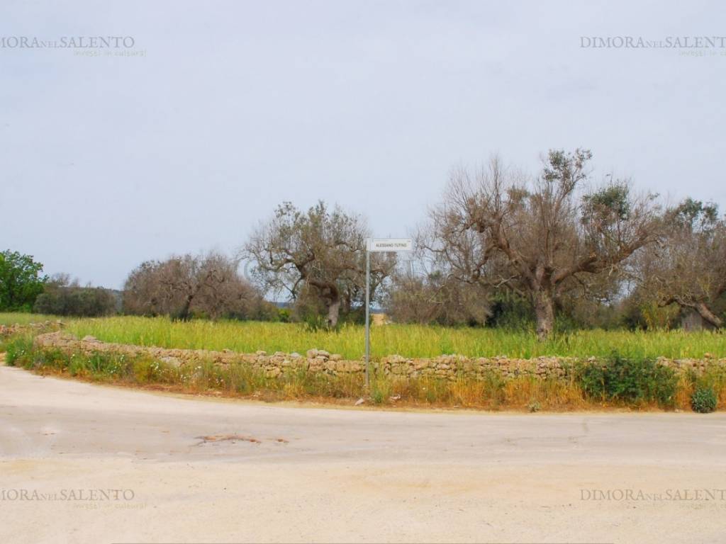 Terreno a Tricase in VIA GONFALONE - Foto 2
