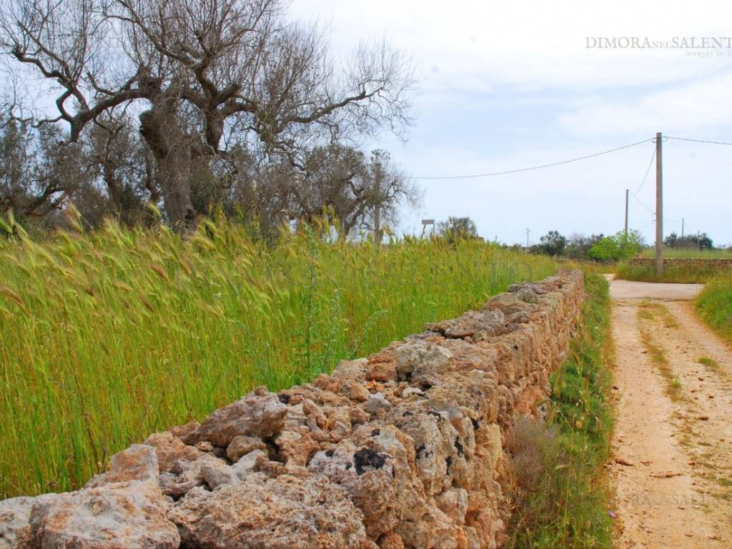 Terreno a Tricase in VIA GONFALONE - Foto 5