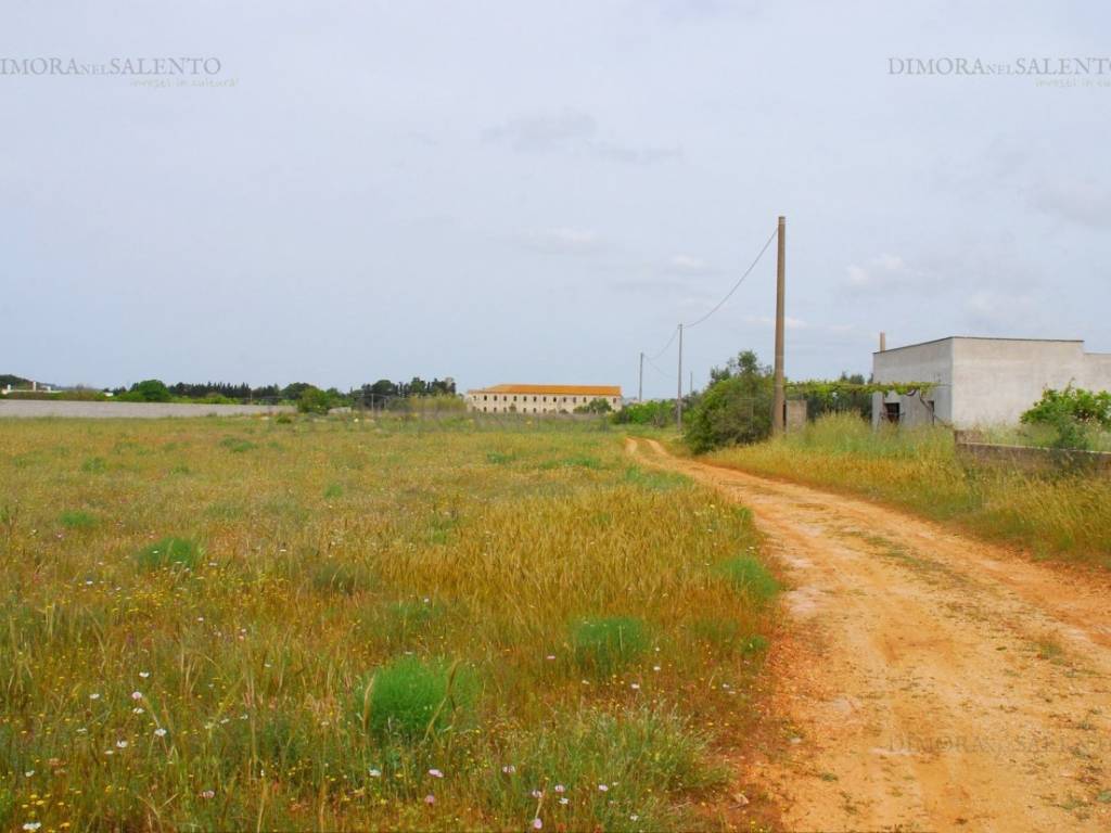Terreno a Tricase in SP 184 - Foto 3