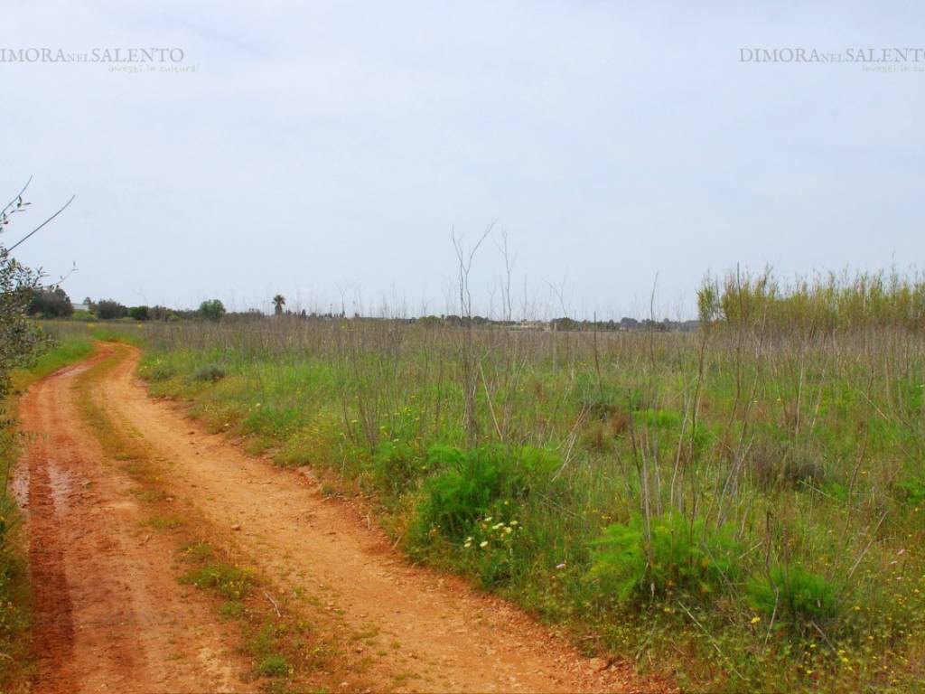 Terreno a Tricase in SP 184 - Foto 4