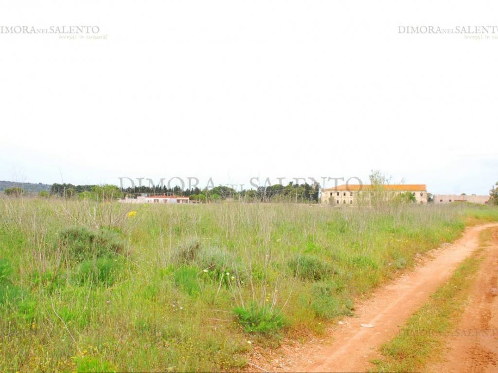 Terreno a Tricase in SP 184 - Foto 5